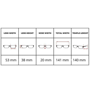 Persol PO 0091