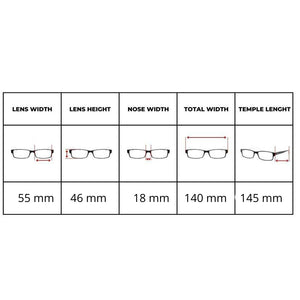 Persol PO 9649