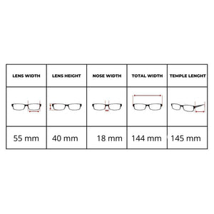 Ray Ban RB 2132 New Wayfarer