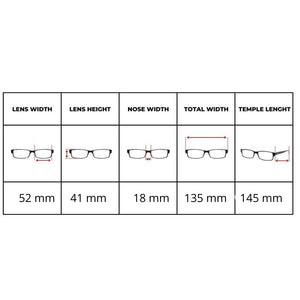Ray Ban RB 2185 Wayfarer II